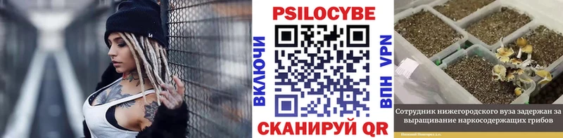 кракен tor  где можно купить наркотик  Горячий Ключ  Галлюциногенные грибы Psilocybe 